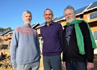 Brown in the ‘Maine