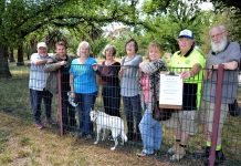 Newstead ‘getting it done’