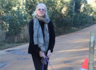 Culvert crash – resident calls for roadworks for safety