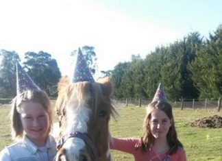 Caring for old Pebbles