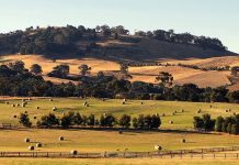 Plan endorsed, doubts remain