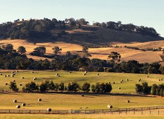 Plan endorsed, doubts remain