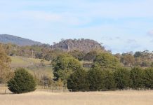 Steps forward for Hanging Rock