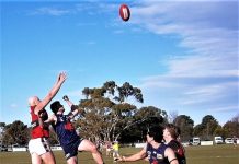 Finals shock as Bombers crash