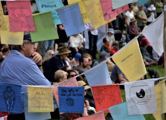Castlemaine cries out for climate action