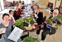 Castlemaine Seed Library seeks volunteers