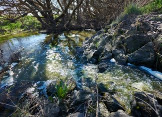 Residents fight Campaspe River discharge plan