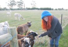 All things edible grown in the garden