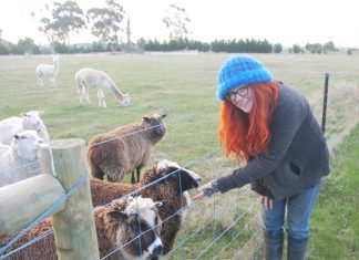 All things edible grown in the garden