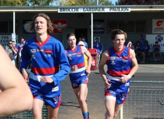 Cost blowout – Gardiner Reserve upgrades face setback