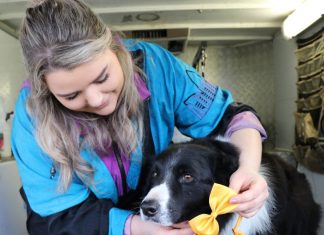 Calling all Mount Alexander Business Awards nominees