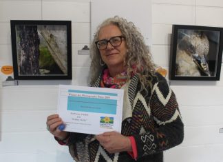 Welcome revival for festival photography