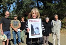 Tower call answered for Woodend