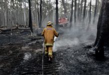 Local brigades warn Ashbourne fire is a sign of things to come