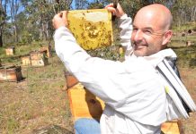 Yandoit beekeeper has something to buzz about