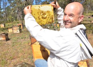 Yandoit beekeeper has something to buzz about