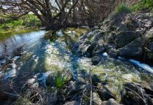 Campaspe River landholders label Coliban Water admission a ‘betrayal of trust’