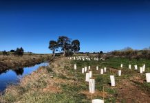 Campaspe River landowners unimpressed with offsets project