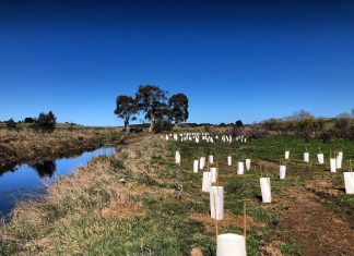 Campaspe River landowners unimpressed with offsets project