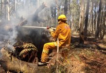 Brigades battle burn-offs