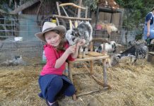 Kyneton Show shines with record crowds