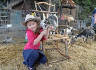 Kyneton Show shines with record crowds