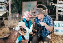 Free fun at Kyneton Show time