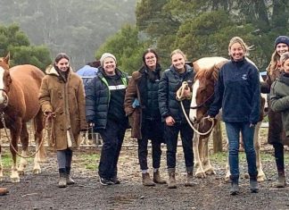 A conversation can save a life