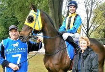 Stable star in top form