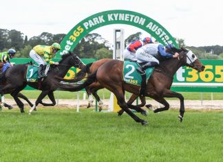 Thrilling finish in Kyneton Cup