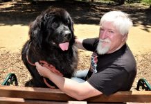 Dog park still to have its day