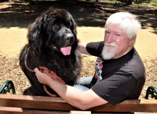 Dog park still to have its day