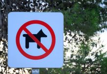Dog ban for Mount Gisborne Reserve