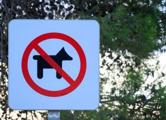 Dog ban for Mount Gisborne Reserve