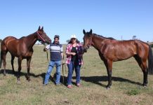 Grogan’s big day at Kyneton races