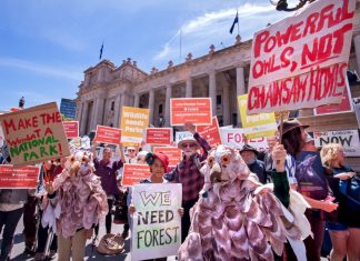 Forest friends unite