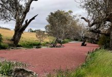 Landowners along Campaspe want guarantee
