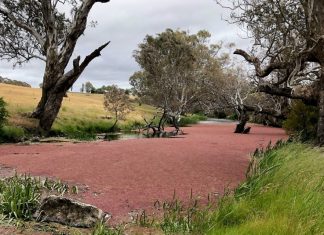 Landowners along Campaspe want guarantee