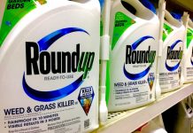 Macedon Ranges Council urged to drop glyphosate