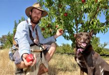 Pick your own looks peachy at Harcourt