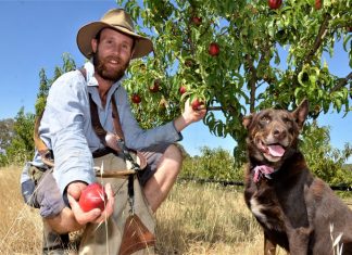 Pick your own looks peachy at Harcourt