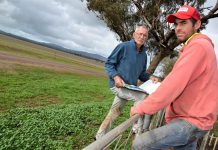 Locals react to Baringhup solar farm approval