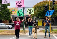 ‘Time to wake up’ – Extinction Rebellion demands emergency declaration