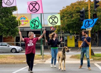 ‘Time to wake up’ – Extinction Rebellion demands emergency declaration