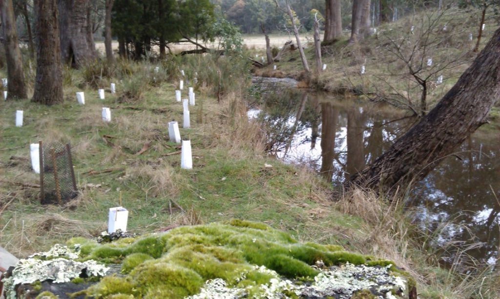 Upskill in weed control at Woodend workshop