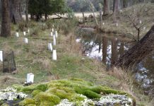 Upskill in weed control at Woodend workshop