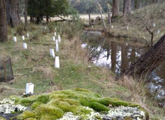 Upskill in weed control at Woodend workshop