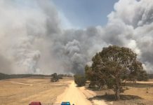 Know your bushfire survival plan