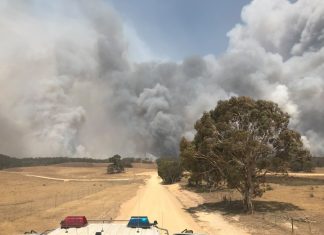 Know your bushfire survival plan
