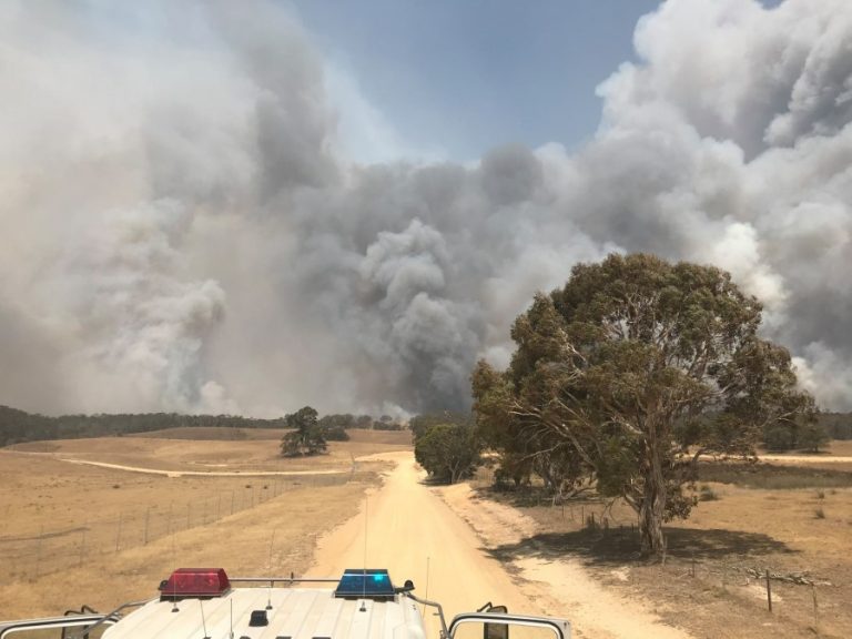 Know your bushfire survival plan